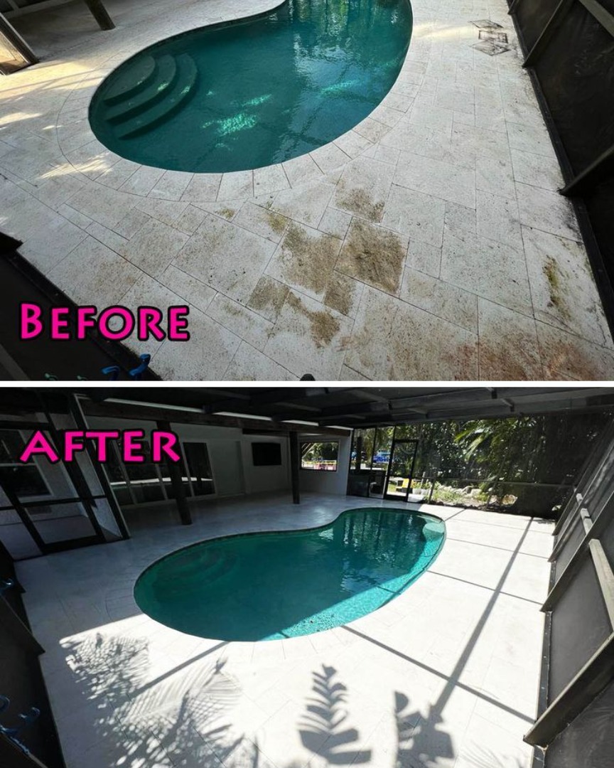 Driveway before and after softwash